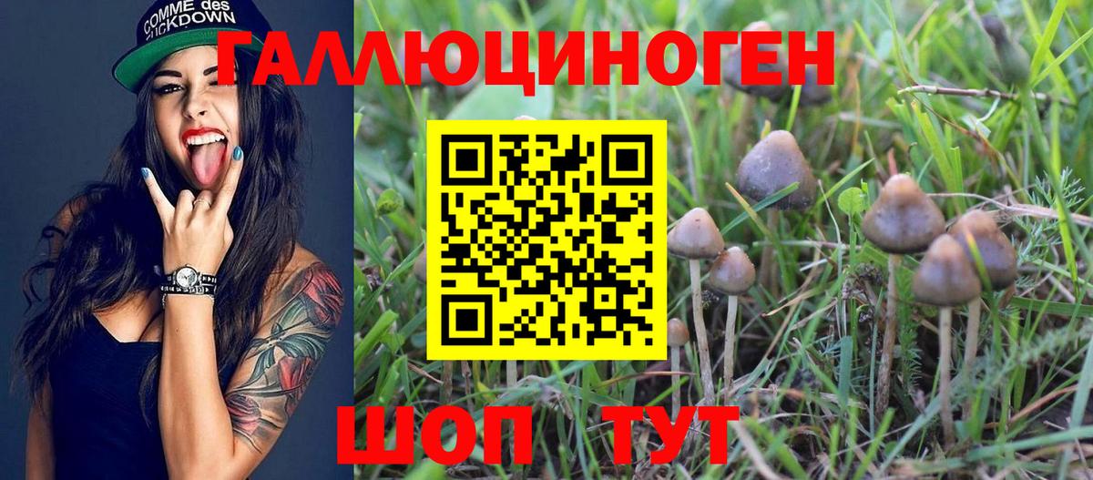 Псилоцибиновые грибы MAGIC MUSHROOMS  Галлюциногенные грибы Magic Shrooms  даркнет сайт  Вход с VPN  Воткинск 